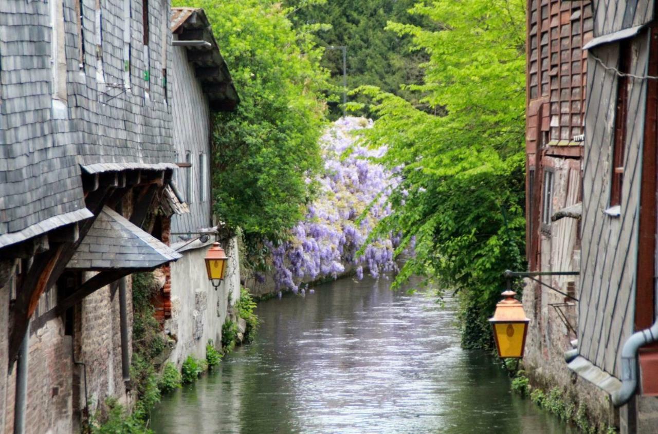 Le Clos Des Hortensias Toutainville Εξωτερικό φωτογραφία