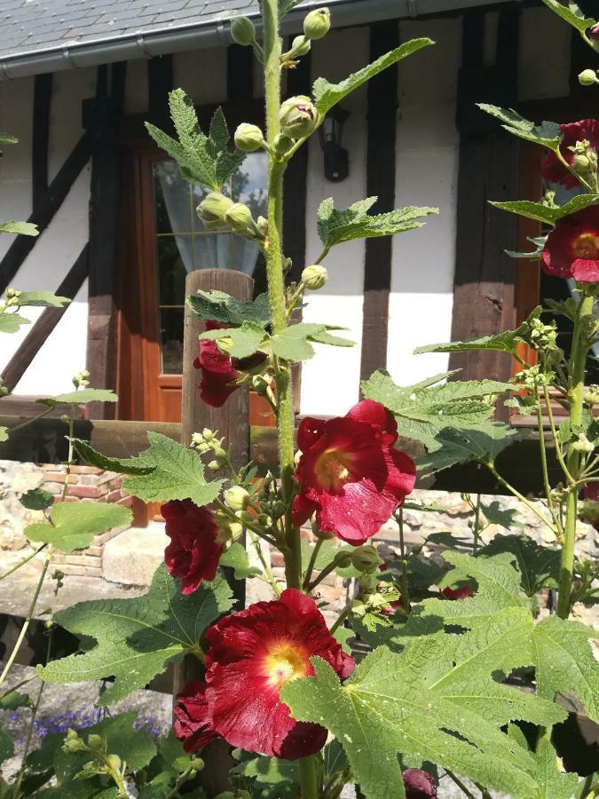 Le Clos Des Hortensias Toutainville Εξωτερικό φωτογραφία
